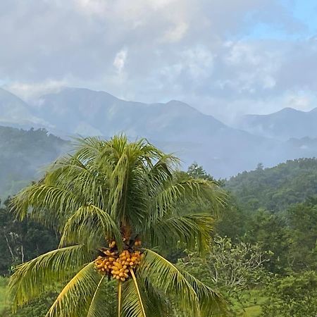 Vila La Vallee De Diane Petit-Bourg Exteriér fotografie