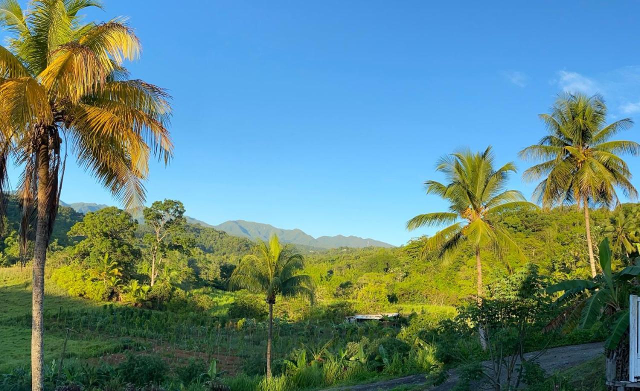Vila La Vallee De Diane Petit-Bourg Exteriér fotografie